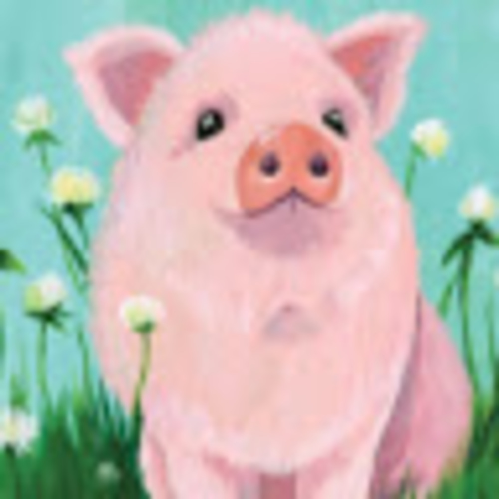 Meet your Posher, Ava